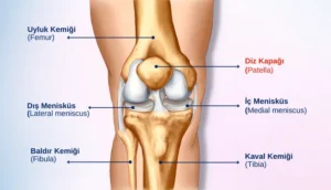 Diz Ağrısı Belirtileri